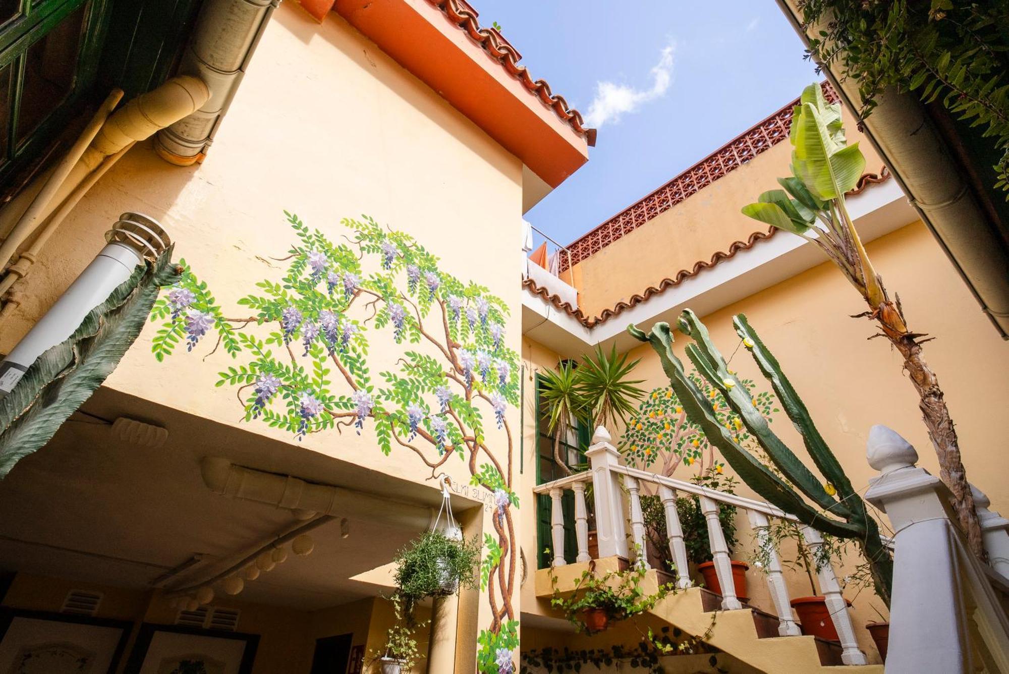 לה אורוטבה Hostel Tenerife מראה חיצוני תמונה
