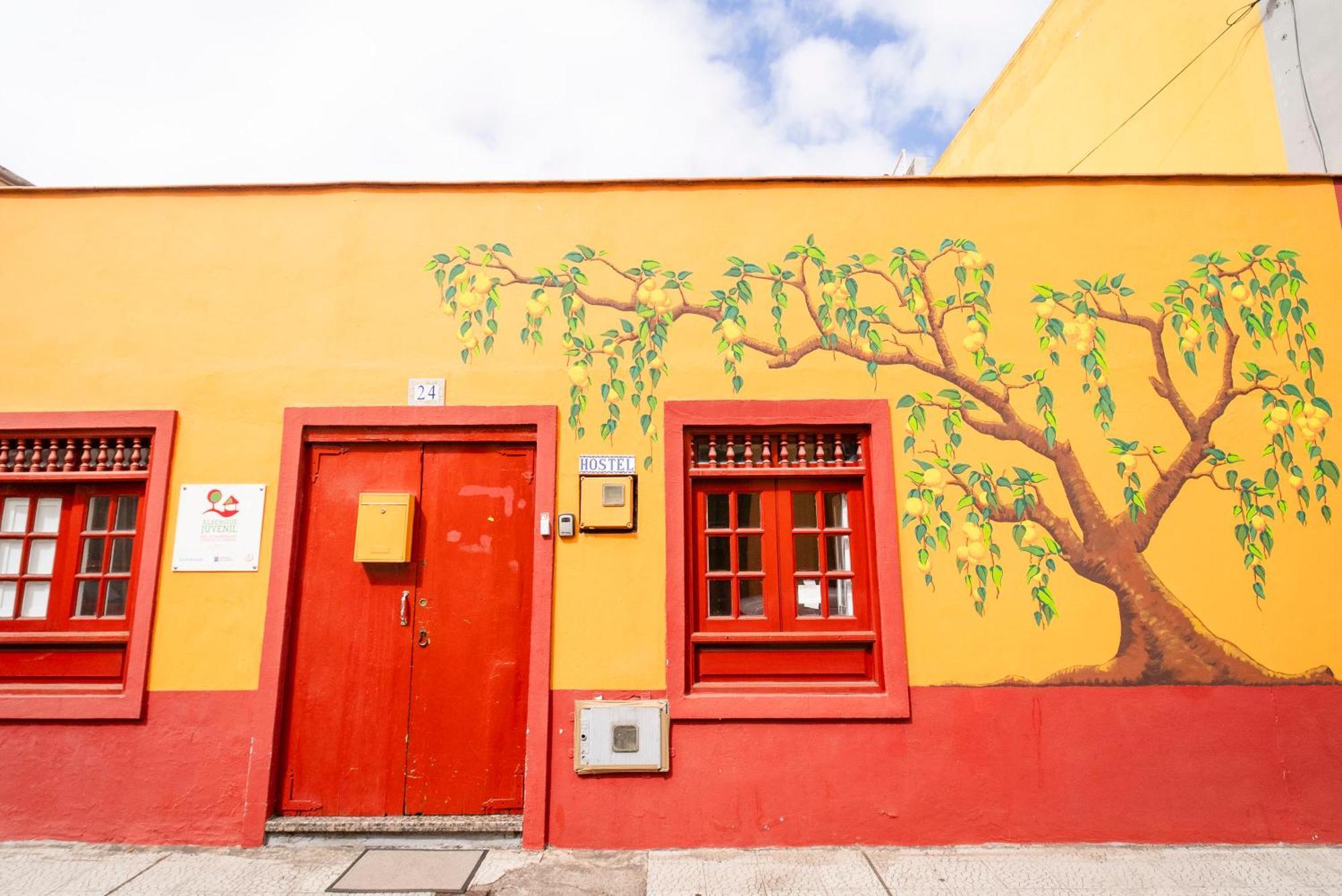 לה אורוטבה Hostel Tenerife מראה חיצוני תמונה